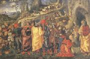 Parentino, Bernardo The Adoration of the Magi (mk05) china oil painting reproduction